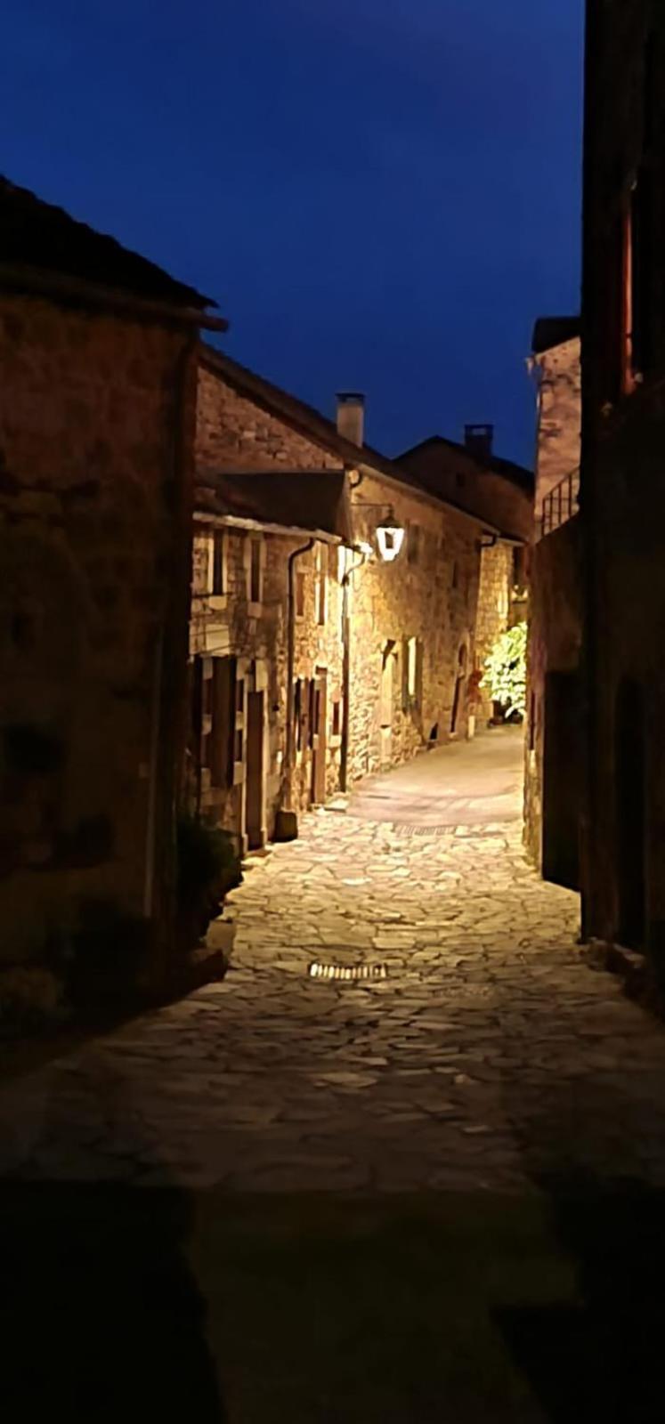 The Tavern Castelnau-Pegayrols Экстерьер фото